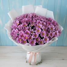 Букет цветов из:  Хризантемы в Ишеевке