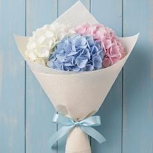 Букет цветов из:  Гортензия в Ишеевке