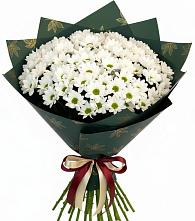 Букет цветов из:  Хризантемы в Ишеевке