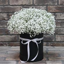 Цветочная композиция из Гипсофила в шляпной коробке #REPLACE_PRED# Ишеевке